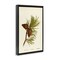 Stupell Industries Fir Tree Cones Floater Framed Canvas Wall Art Design by Tina Higgins Designs, Inc.